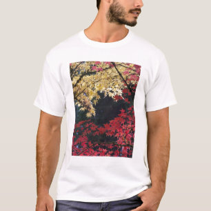 Maple trees in autumn colour T-Shirt