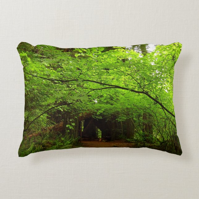 Maple Trees in Redwood Forest Decorative Cushion (Front)