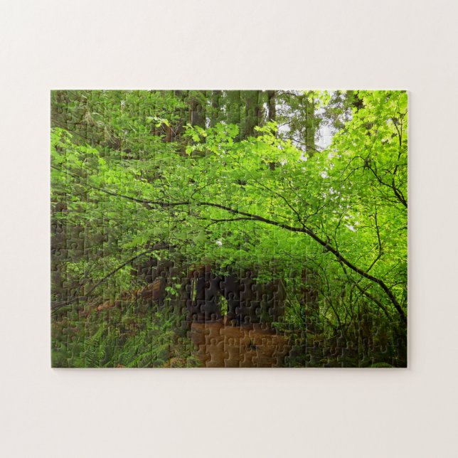 Maple Trees in Redwood Forest Jigsaw Puzzle (Horizontal)