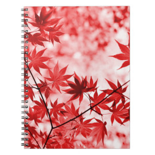Maple Trees Leaves Design-29997 Notebook