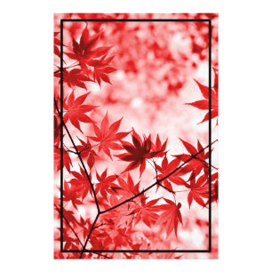 Maple Trees Leaves Design  Photo Print