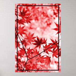 Maple Trees Leaves Design  Poster