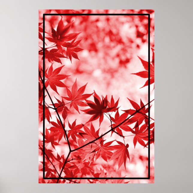 Maple Trees Leaves Design  Poster (Front)