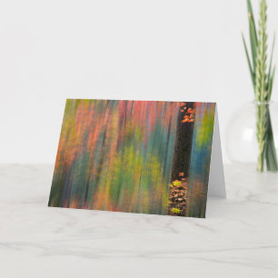 Maple Trees   Silver Falls State Park Card