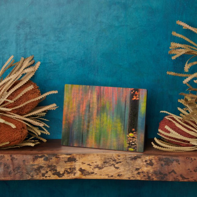 Maple Trees | Silver Falls State Park Plaque (Side)