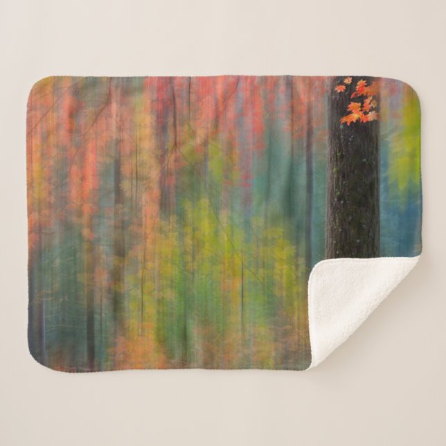 Maple Trees | Silver Falls State Park Sherpa Blanket (Front (Horizontal))