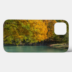Maple Umbrella Over Dogwood Creek iPhone 13 Case