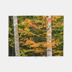 Maple & White Birch   White Mountains, NH Fleece Blanket