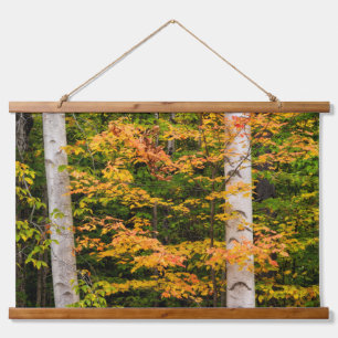 Maple & White Birch   White Mountains, NH Hanging Tapestry