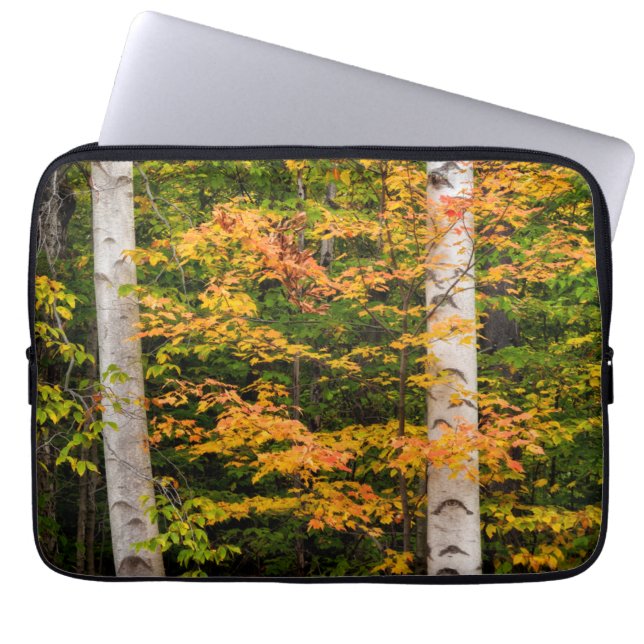 Maple & White Birch | White Mountains, NH Laptop Sleeve (Front)