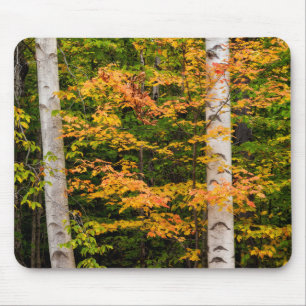 Maple & White Birch   White Mountains, NH Mouse Mat