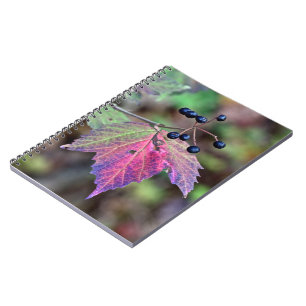 Mapleleaf Viburnum Autumn Leaves and Berries Notebook