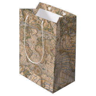 Mappa Mundi Medium Gift Bag