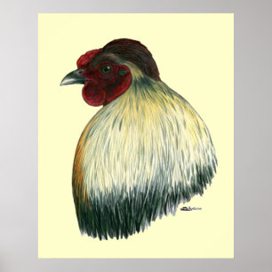 Mapuche Huastec Rooster Poster