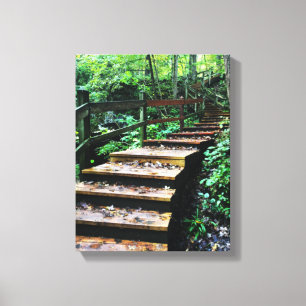 maquoketa caves state park staircase canvas print