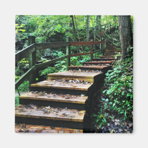 maquoketa caves state park staircase magnet
