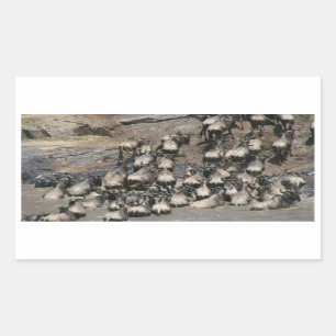 mara wilde beest rectangular sticker