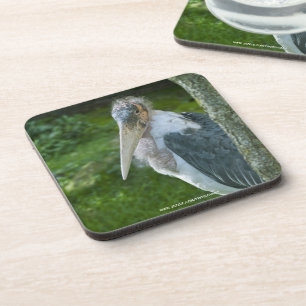 Marabou Coaster