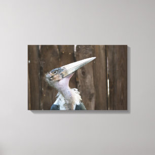 Marabou Stork Canvas Print