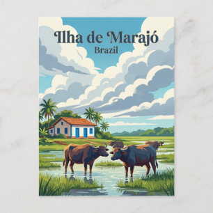 Marajó Brazil Postcard