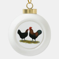 Marans Black Copper