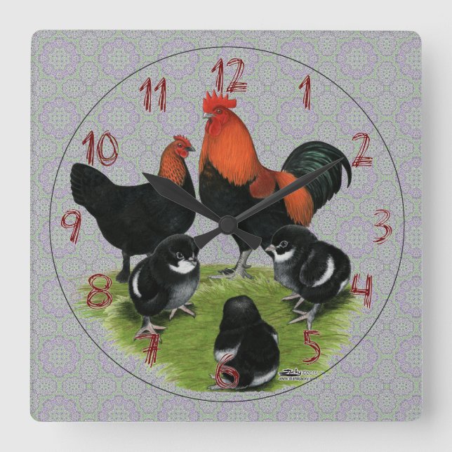 Marans Black Copper Chicken Family Square Wall Clock (Front)