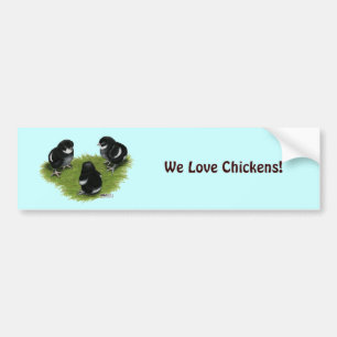Marans Black Copper Chicks Bumper Sticker