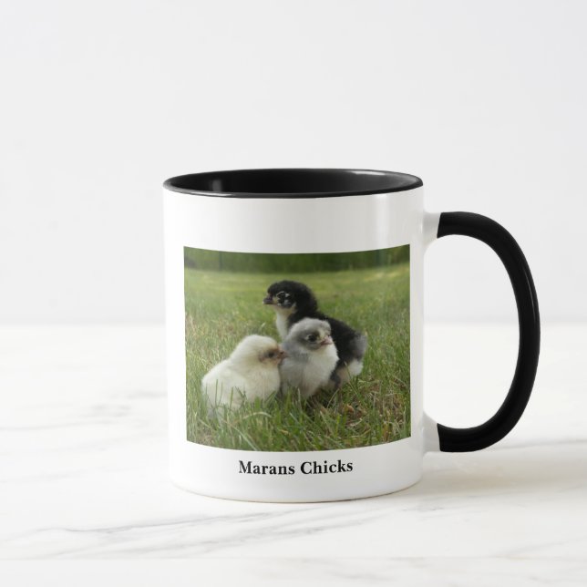 Marans Chicks Mug (Right)