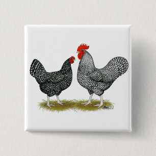 Marans:  Cuckoo Pair 15 Cm Square Badge