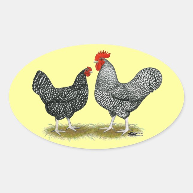 Marans:  Cuckoo Pair Oval Sticker (Front)