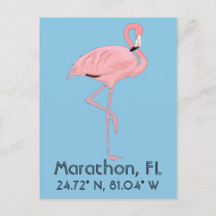 Marathon FL Keys Flamingo Latitude Longitude Postcard