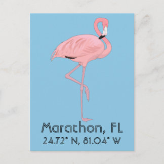 Marathon FL Keys Flamingo Latitude Longitude Postcard