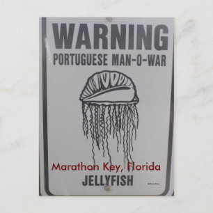 Marathon Key, Florida Postcard