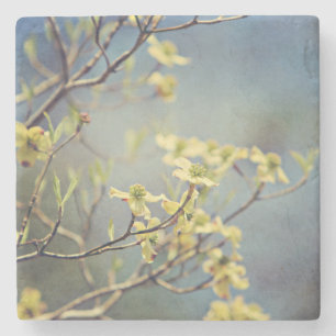 Marble and Dogwoods coaster