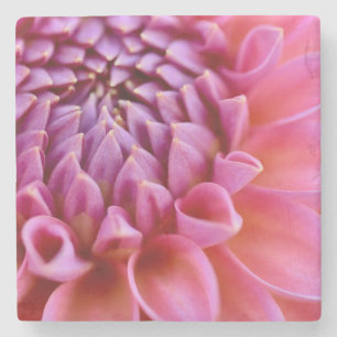 Marble Dahlia Coaster