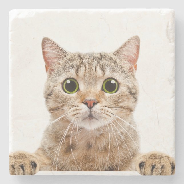 Marble Stone Coaster Cat Print  (Front)