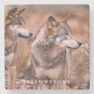Marble Stone Coaster-Yellowstone Wolves Stone Coaster
