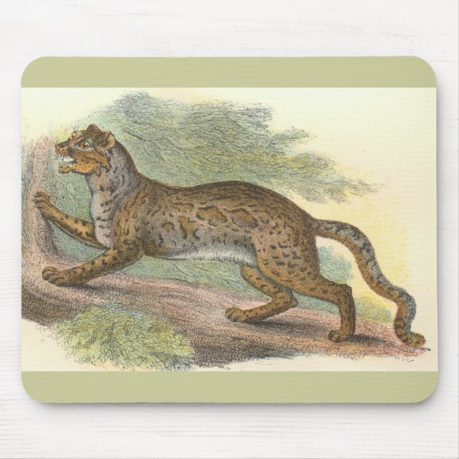 Marbled Cat, Felis marmorata Mouse Mat (Front)