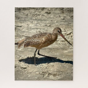 Marbled Godwit Jigsaw Puzzle