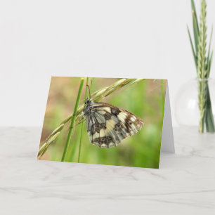 Marbled White Butterfly on Grass Card
