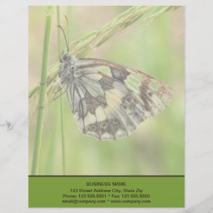 Marbled White Butterfly on Grass Custom Letterhead