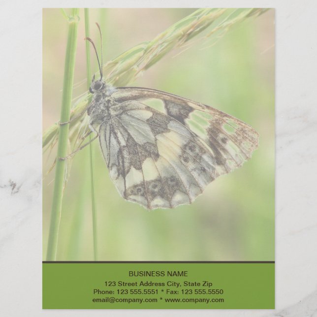 Marbled White Butterfly on Grass Custom Letterhead (Front)