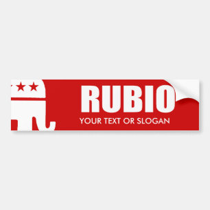 MARC RUBIO 2012 BUMPER STICKER