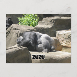 march7 927, ZuZu, ZuZu Postcard