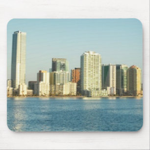 March 2006. 2 mouse mat
