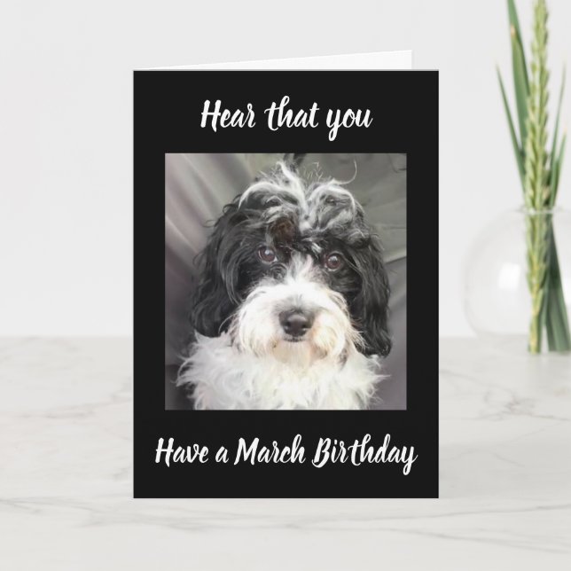 ***MARCH BIRTHDAY*** WISHES TO A SPECIAL PERSON! CARD (Front)