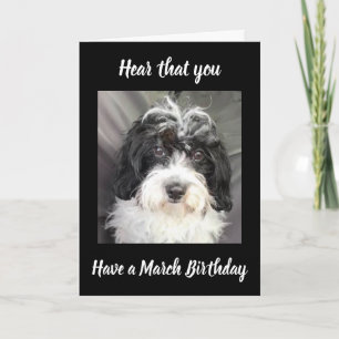 ***MARCH BIRTHDAY*** WISHES TO A SPECIAL PERSON! CARD