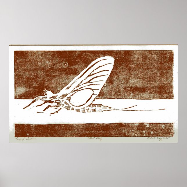March Brown May Fly Poster (Front)