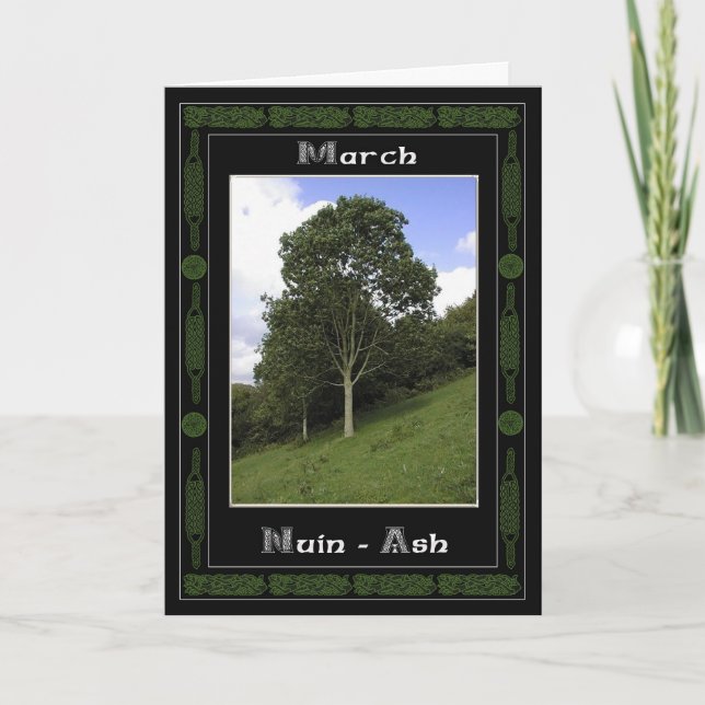 March Celtic Druid Birthday Tree Symbols Card (Front)