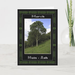 March Celtic Druid Birthday Tree Symbols Card